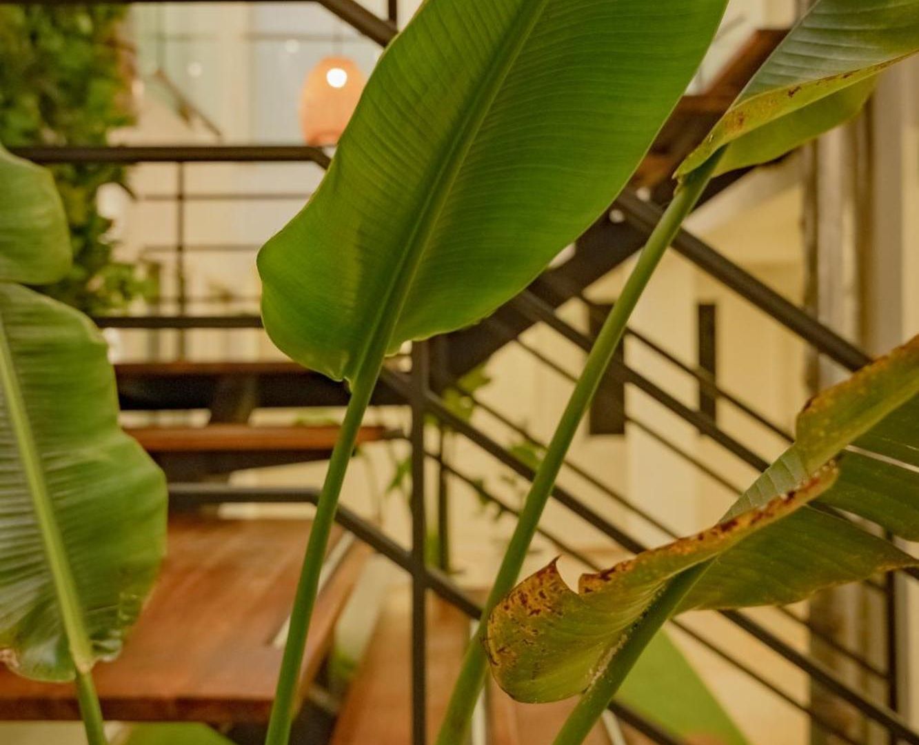 Hotel Casa Amanzi By Bernalo
