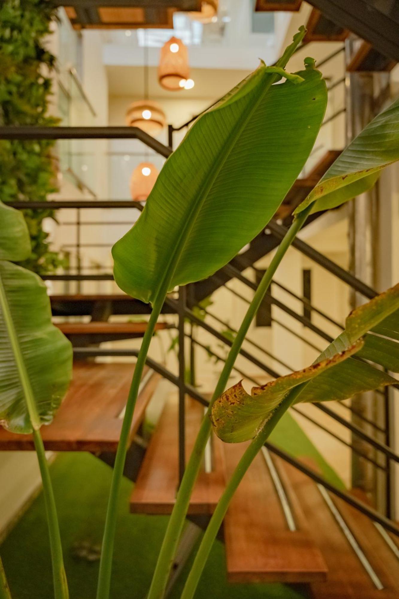 Hotel Casa Amanzi By Bernalo